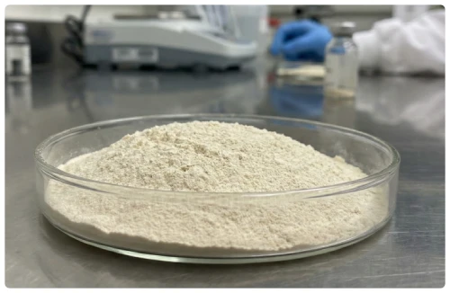BioFresh Clean Complex